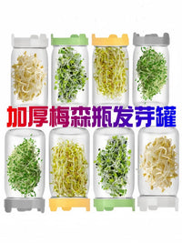 Mason Jar Sprouting Kit for Hydroponic Broccoli Alfalfa Sprouts, Thick Glass Seedling Bottle