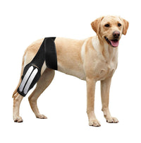 Pet Dog Rear Leg Brace for Injury Recovery and Joint Support