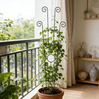 Heart-Shaped Iron Plant Climbing Trellis for Potted Plants