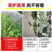 Insect Netting for Vegetable Gardens, 80 Mesh Thickened Agricultural Anti-Insect Screen for Greenhouses and Balconies