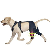 Pet Dog Leg Brace for Post-Surgery Recovery and Joint Protection