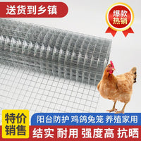 Galvanized Steel Wire Mesh Fence for Poultry, Garden, and Pest Control