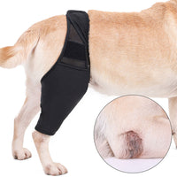 Pet Dog Leg Support Harness for Rehabilitation and Protection - Neoprene Thigh Brace for Injured or Weak Dogs