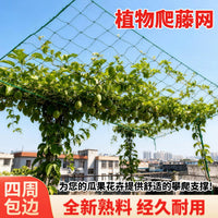 Plant Climbing Net for Vegetables, Cucumbers, Loofahs, and Beans - Durable Garden Trellis Netting with Edging Rope
