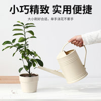 Indoor Long Spout Watering Can for Potted Plants, Succulents, and Flowers - 2L Capacity