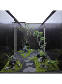Natural Black Mountain Stone for Japanese Zen Garden Landscaping and Micro-Landscapes
