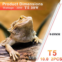 Reptile UVB T5/T8 Fluorescent Lamp for Lizards, Snakes, and Tortoises