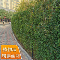 Garden Greenery Trellis Netting for Climbing Plants and Roadside Greening