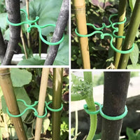 Garden Plant Support Clips for Vines and Stems - 50 Pcs