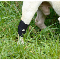 Pet Dog Post-Surgery Leg Brace Anti-Lick Joint Support Sleeve