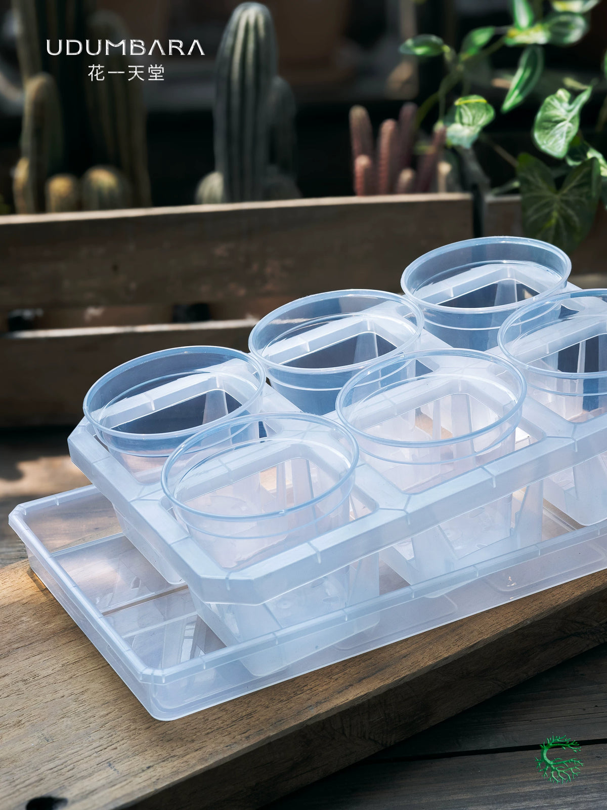 Clear Plastic Orchid Pot with Tray for Root Observation and Propagation