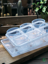 Clear Plastic Orchid Pot with Tray for Root Observation and Propagation