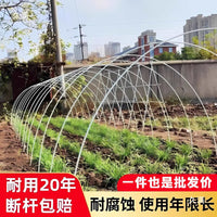 Fiberglass Greenhouse Hoops for Garden Tunnels and Plant Support