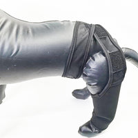 Dog Leg Brace for Injury Recovery - Front/Rear Leg Support for Arthritis, ACL, and Splint Protection