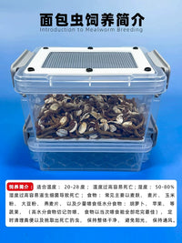 Insect Breeding Box for Reptiles, Spiders, Hamsters, and Birds - Mealworm and Beetle Cultivation