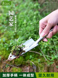 Mini Garden Trowel and Rake Set for Potted Plants and Gardening, Stainless Steel