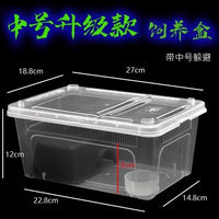 2nd Gen Reptile Breeding Box with Optional Accessories for Spiders, Geckos, Snakes, Lizards, Scorpions, Centipedes, and Turtle Hatchlings