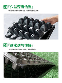 Thickened Seedling Starter Trays for Vegetables, Watermelon, Corn, and Chili Peppers