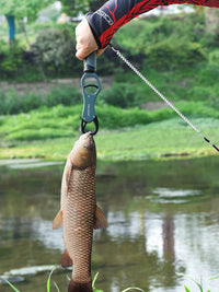 ChaoYu Multifunctional Fish Gripper with Scale, Lure Pliers, Hook Remover, Extended Set for Big Fish