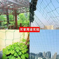 Plant Trellis Netting for Climbing Vines, Fruits, and Flowers - Garden Support Net