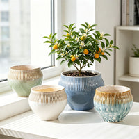 Creative Glazed Ceramic Planter with Saucer for Orchids and Green Plants