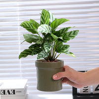 Miniature Matte Ceramic Orchid Planter, Oval Desktop Pot, Glazed Finish, No Drainage Hole