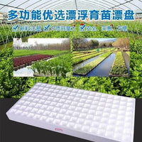 High-Density Foam Seedling Trays for Tobacco, Pepper, Watermelon, Corn - 162 Cells
