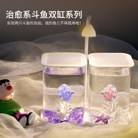 Betta Fish Tank with LED Light, Dual Compartment Desktop Aquarium for Small Fish, High Transparency Glass