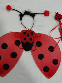 Ladybug Wings Kids' Costume Set for Performances
