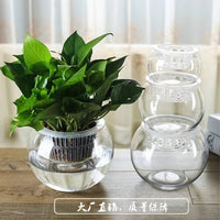 Large Thickened Spherical Glass Fish Tank for Goldfish, Turtles, and Hydroponic Plants