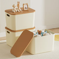 Desktop Storage Box with Lid for Snacks Toys Sundries Cosmetics