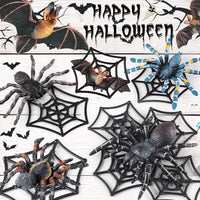 Realistic Animal Insect Spider Models for Halloween Prank & Sand Table Decor