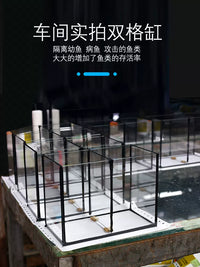 Dual-Compartment Desktop Glass Aquarium for Betta Fish and Breeding