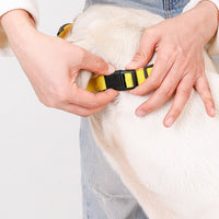 Breathable Anti-Bite Dog Muzzle for Medium to Large Dogs, Prevents Barking and Chewing, Allows Drinking