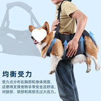 Pet Mobility Harness for Elderly and Disabled Dogs - Rear Leg Support Sling for Injury Recovery and Rehabilitation