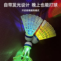 Single Player Badminton Trainer Set for Indoor Outdoor Practice - Solo Rebound Shuttlecock Training for Kids and Adults