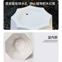 Luxury Resin Planter Pot for Indoor Plants - Money Tree, Monstera, Bird of Paradise, Ficus