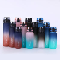 Gradient Frosted Water Bottle with Straw, Large Capacity Portable Sports Water Jug for Summer