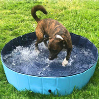 Foldable Pet Swimming Pool Portable Dog Bath Tub Outdoor Play & Cleaning