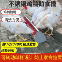 Stainless Steel Poultry Feeder Trough for Chickens, Ducks, Geese, and Pigeons - Spill-Proof Design