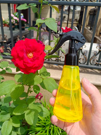 Mini Portable Spray Bottle for Plants and Hydration