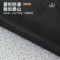 Cartoon PVC Loop Mat for Pets, Scratch-Resistant, Easy-Clean Floor Mat, Litter Area Mat