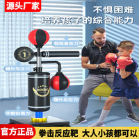 Boxing Reflex Spinning Target Bag for Adults and Kids, Taekwondo MMA Training Equipment