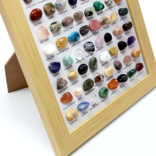 80-Specimen Mineral Crystal Collection Frame for Geological Education
