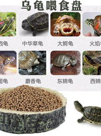 Resin Reptile Feeding Dish for Tortoises, Lizards, and Hermit Crabs