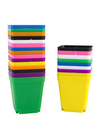 Colorful Plastic Succulent Planters with Trays - 10cm Square Nursery Pots for Seedlings