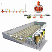 Automatic Poultry Drinking and Feeding Line System for Chickens, Ducks, and Geese