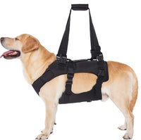 Dog Mobility Harness for Injured, Disabled, or Elderly Dogs - Front/Rear Leg Support for Walking & Stairs