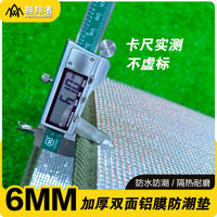 Thickened Aluminum Film Beach Mat for Outdoor Camping and Picnics