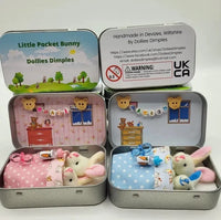 Bunny Easter Plush in Pocket Toy Set